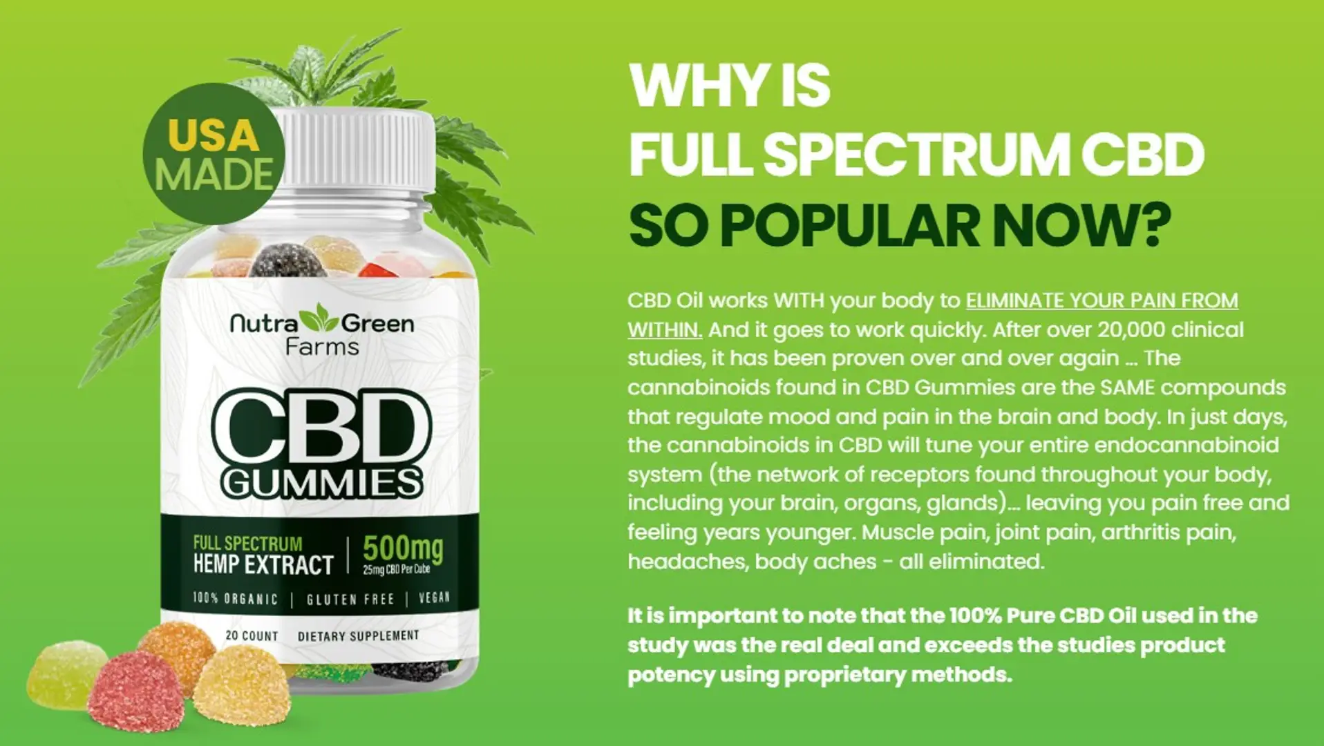 67fca04b7024a827dd7edc42